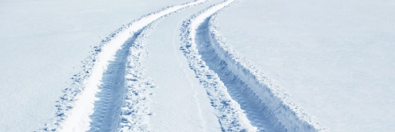 Break Out Your Ladder(s): It’s Time to Winterize Your Landscape