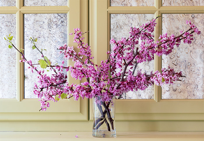 Forcing Branches to Bloom Inside